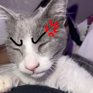 Meet your Posher, Lettyyy